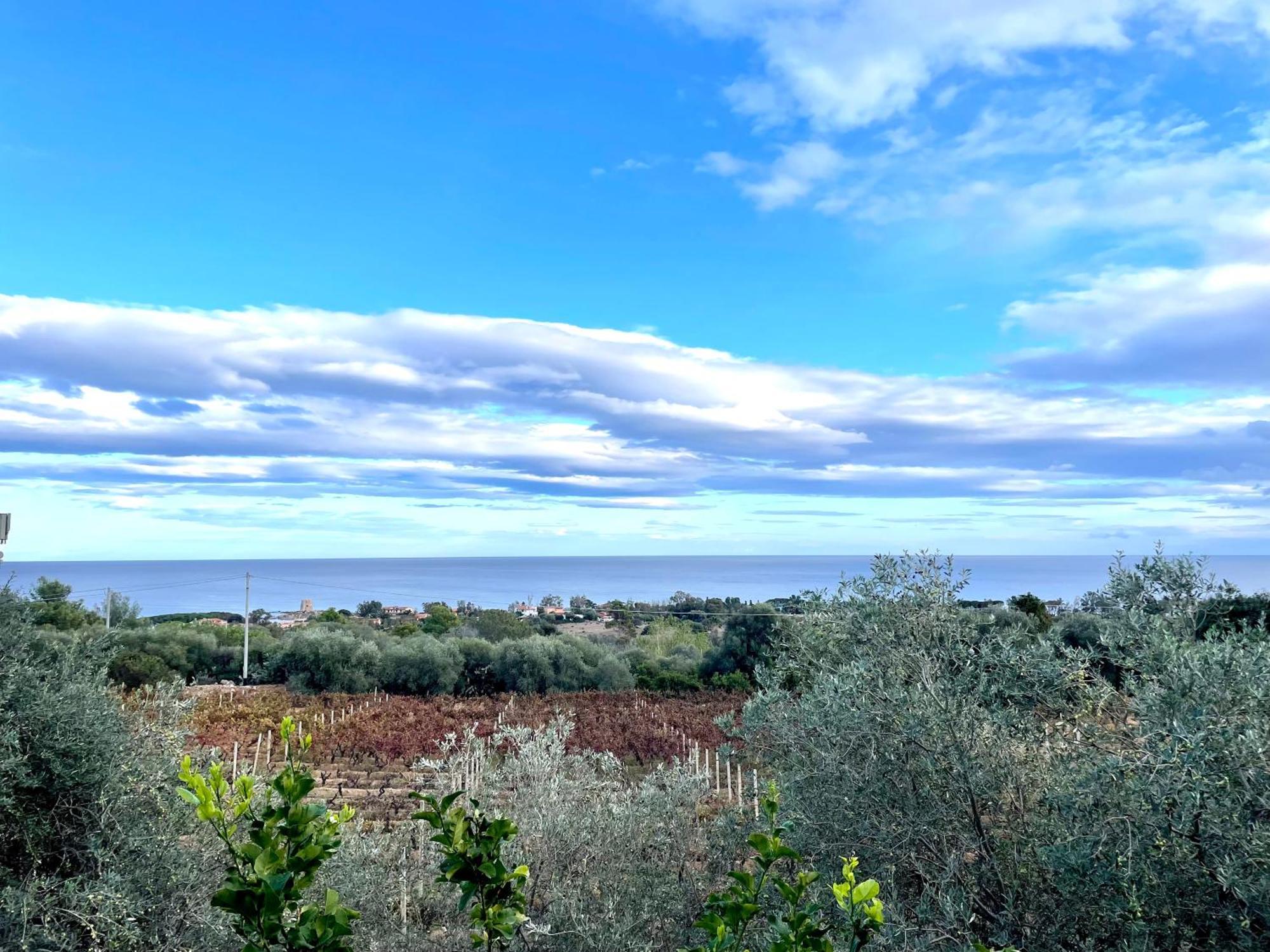Hébergement de vacances Tiny House Bellavista Bari Sardo